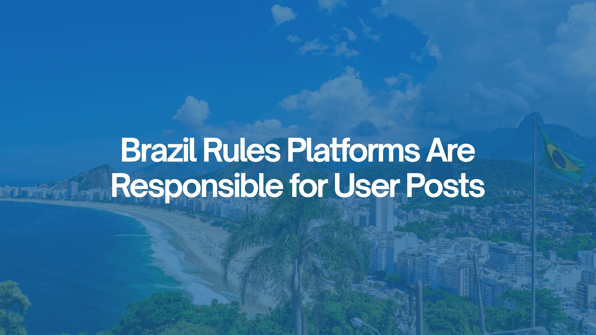 Marketing Trends | Brazil Rules Platform